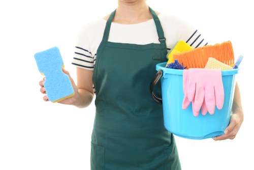 Window cleaning for Twickenham homes and period properties