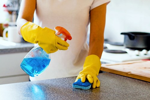 Twickenham Cleaner team following safe working practices