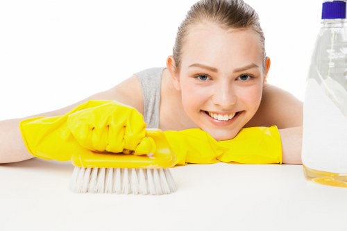 Local cleaner maintaining a home in Twickenham with a recurring schedule