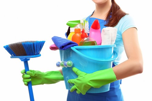 Upholstery cleaning process for a living room sofa in Twickenham