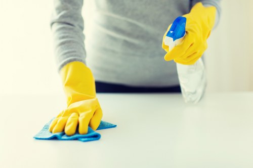 Inclusive online experience for Twickenham cleaner services