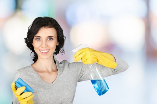Exterior building cleaning for stone, brick, and render surfaces in Twickenham