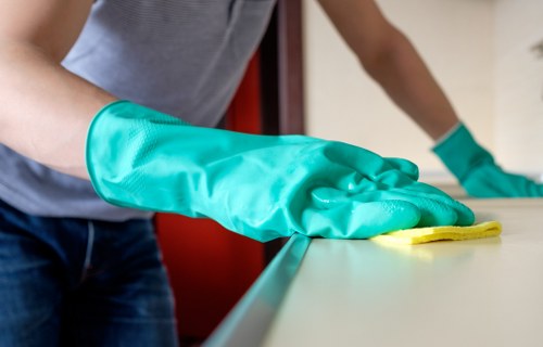 Local cleaner supporting family homes in Twickenham